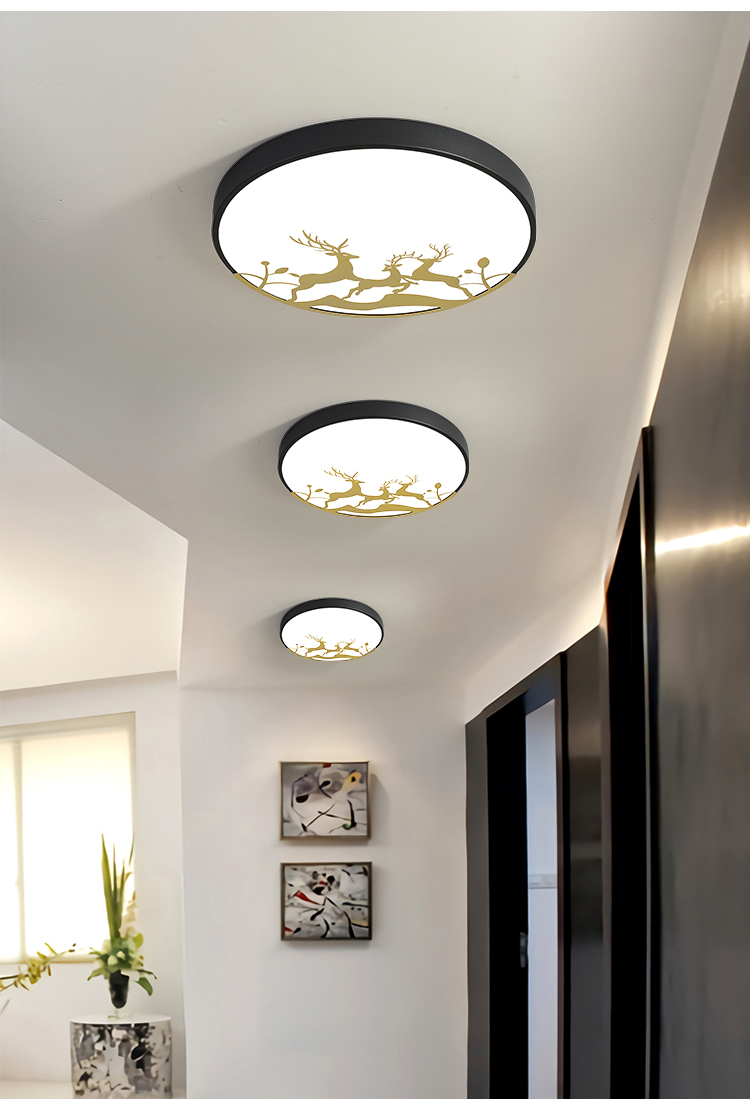 走廊过道灯ciaa简约现代创意led阳台玄关吸顶灯衣帽间北欧房间卧室灯