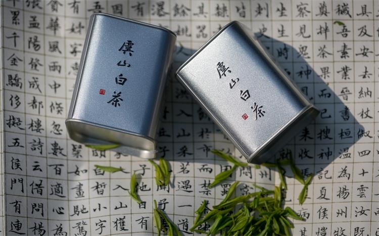 虞山绿茶白茶雨前50克礼盒25克2罐