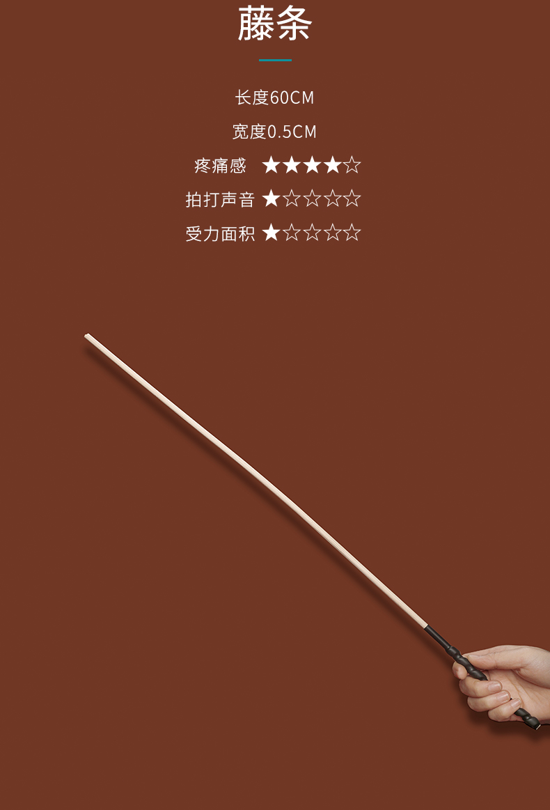 惩罚道具sm调教女anksp女奴sp刑具套装散鞭抽打狗奴束缚皮拍藤条藤条3