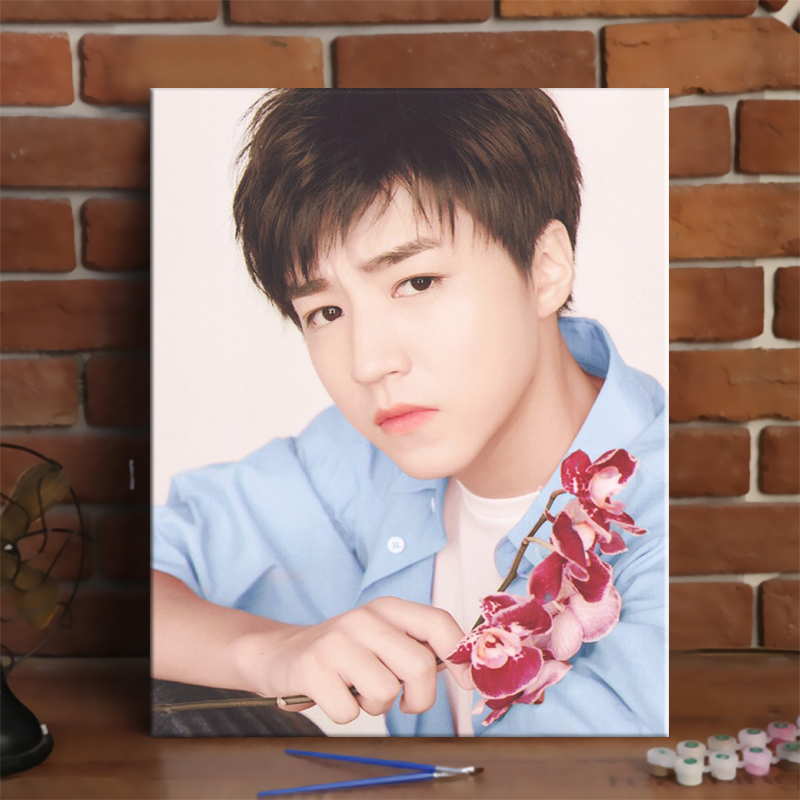 khzn 压油画王俊凯数字填色油彩画卧室手绘装饰画
