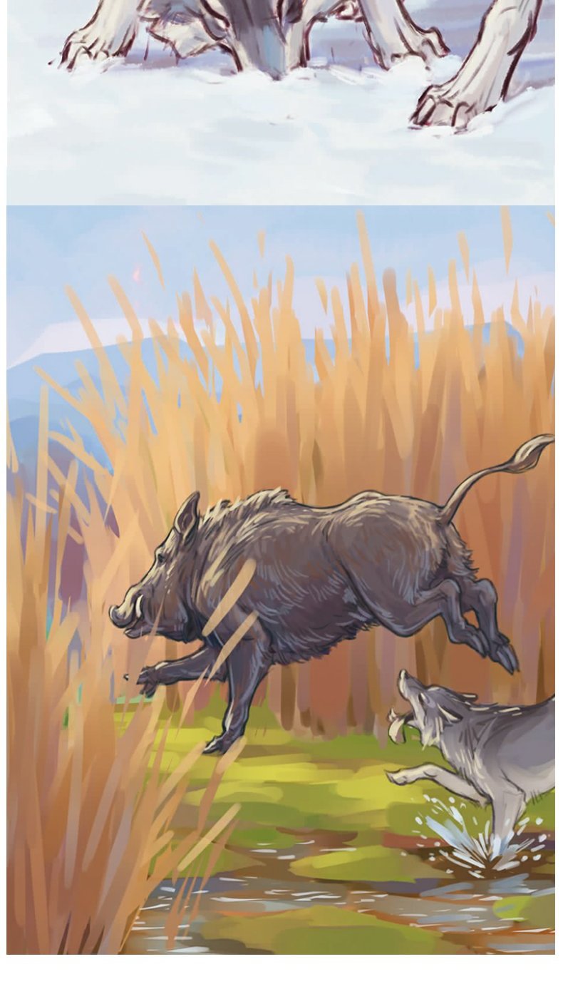 《【诺森正版】勇者无畏狼王宝座彩绘注音版动物小说,适合1-3低年级