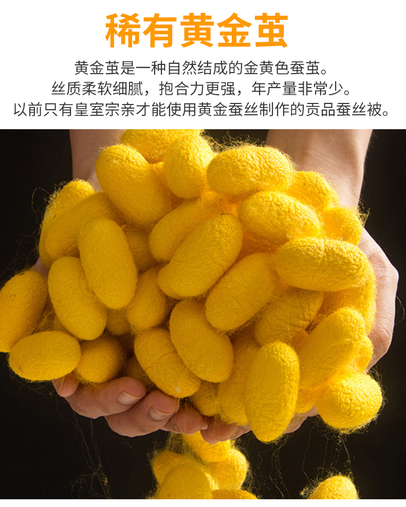 丝煌双宫黄金茧蚕丝被100%桑蚕长丝被手工春秋被保暖冬被子母被芯