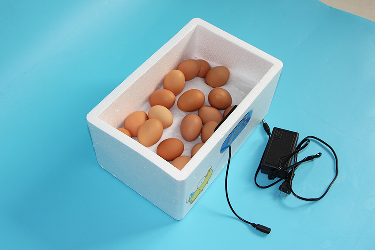 孵化机全自动家用型小鸡小型鸟蛋孵化器水床孵蛋器鸽子孵化箱