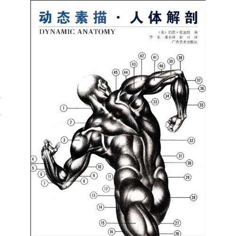 二手8成新动态素描人体解剖9787806253847