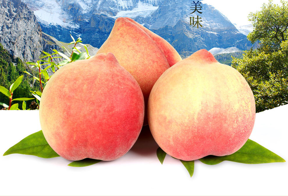 中华特色云南扶贫馆丽江雪桃新鲜桃子大果9个礼盒装45kg现摘现发顺丰