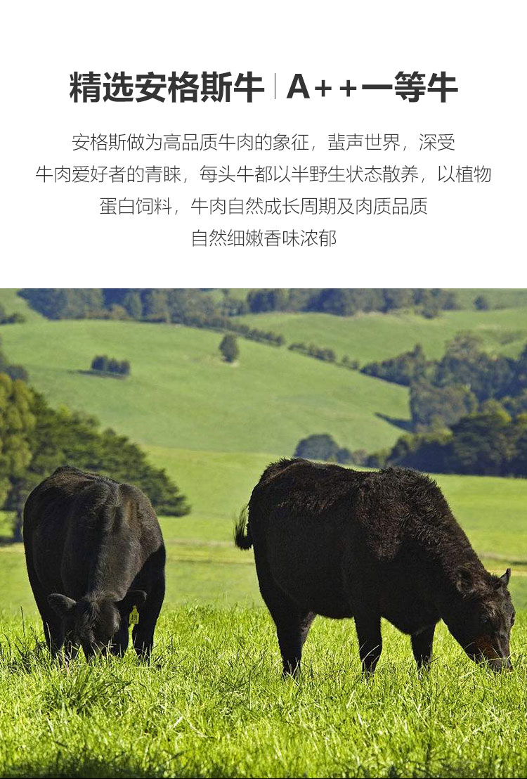 精品牛腩块1kg乌拉圭进口草饲牛肉