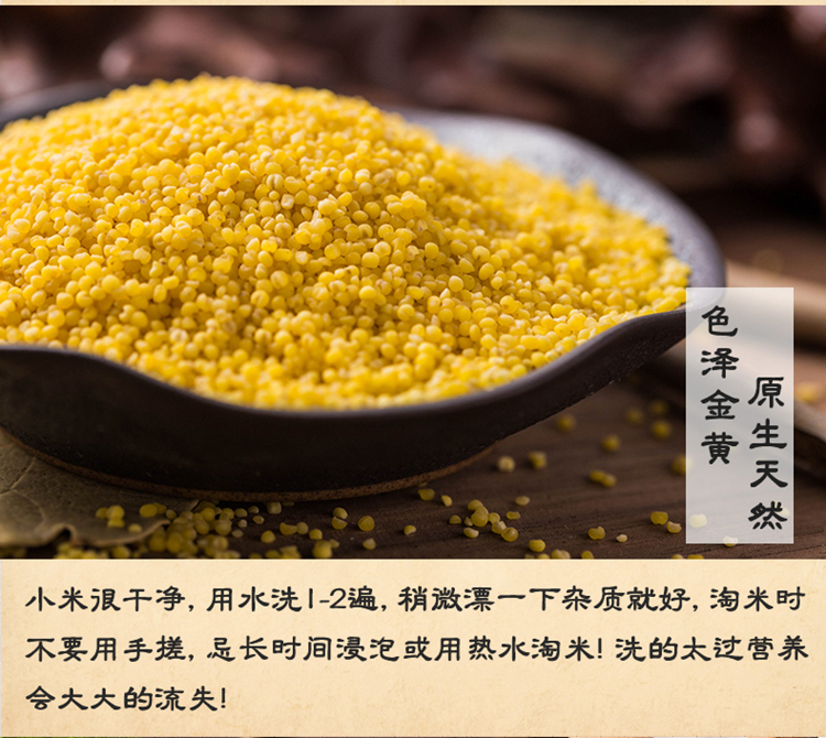 呆呆菇娘 小黄米500g 黄米小米月子米粗粮米五谷杂粮小米食用小米煮粥