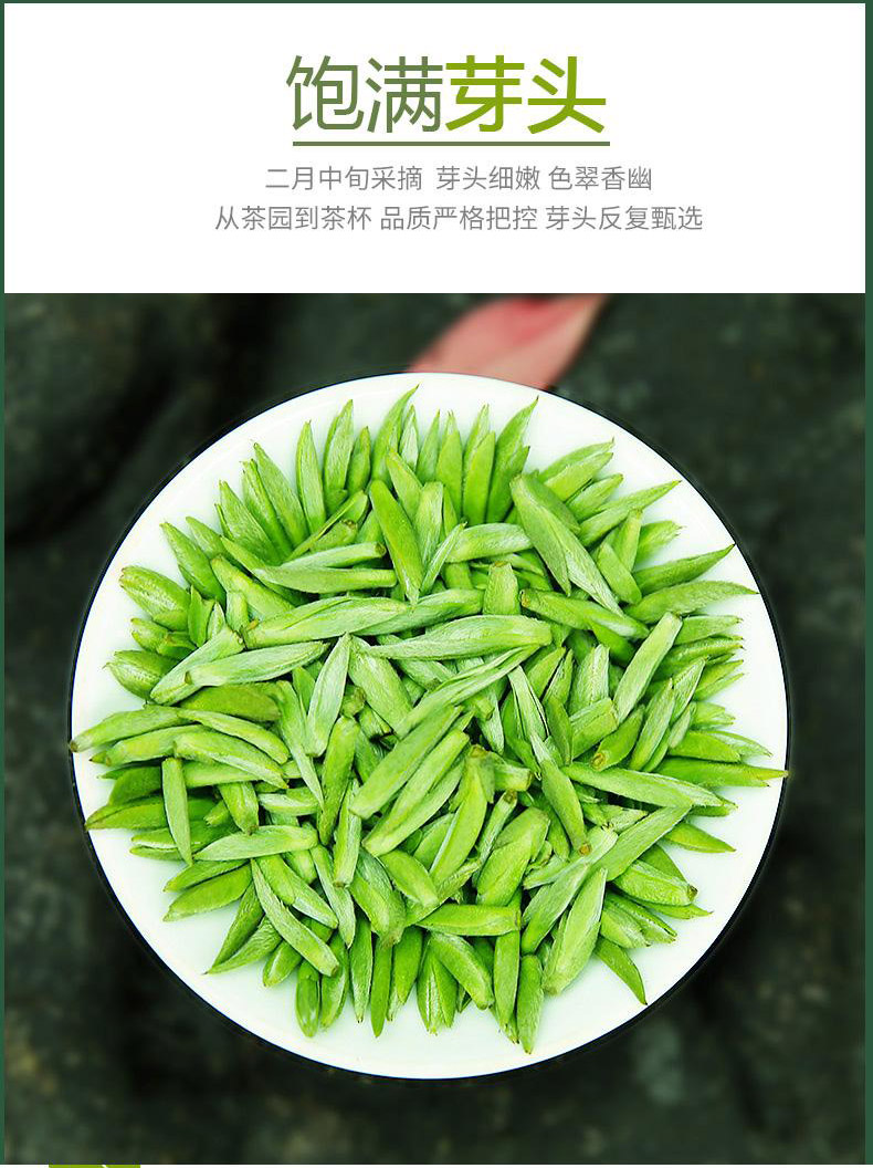 川红茶叶2022年开园头采新茶特级雀舌绿茶明前嫩芽茶叶大师款100g