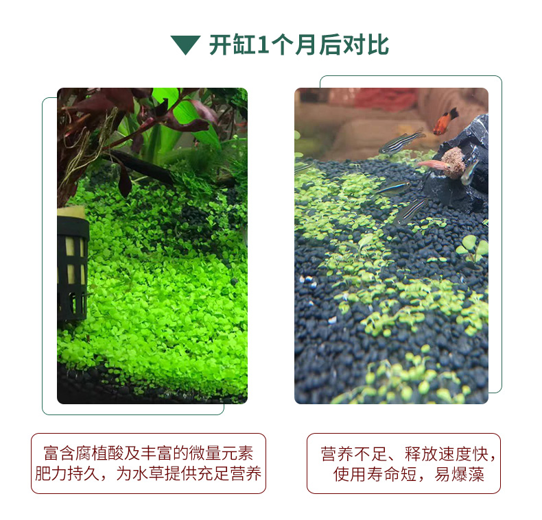 Bessn宠物日用bessn牌鱼缸造景底砂套餐水草缸水藻泥陶粒砂水草泥免洗不浑水亚马逊基肥 价格图片品牌报价 苏宁易购bessn旗舰店