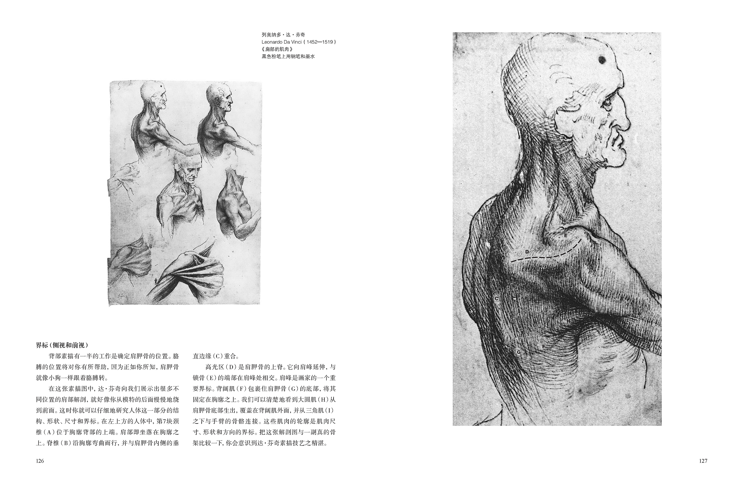 正版 向大師學繪畫全3冊 素描基礎 人體素描 藝用解剖 全新修訂版