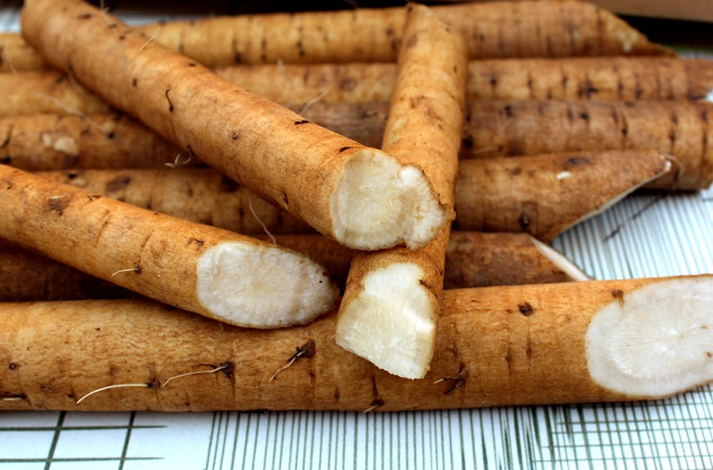 牛蒡5斤装 黄牛蒡 苍山台湾 根 正品蔬菜牛旁 可做牛蒡菜 牛蒡茶的