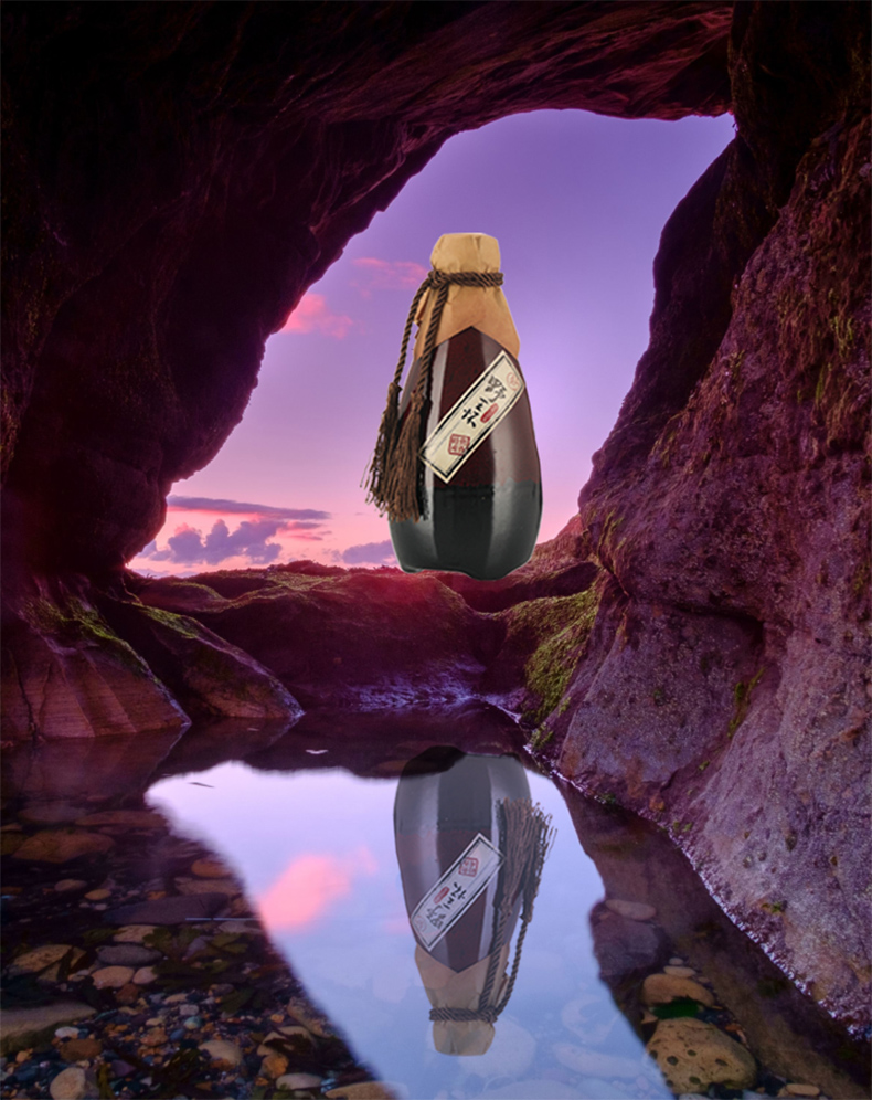 野王怀 铁棍山药酒1号42度500ml/瓶 河南特产怀山药酿造白酒_历史最低