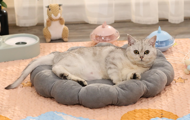 猫垫子四季通用米妮小型家用猫窝可爱棉垫睡觉宠物地垫加厚猫咪睡垫