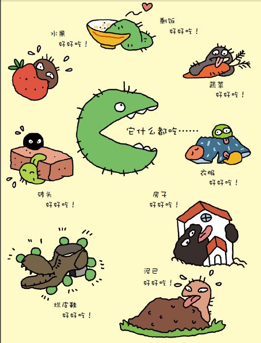 孙俪推荐绘本霉菌绘中国原创图画书儿童故事书幼儿园2368岁科普书籍