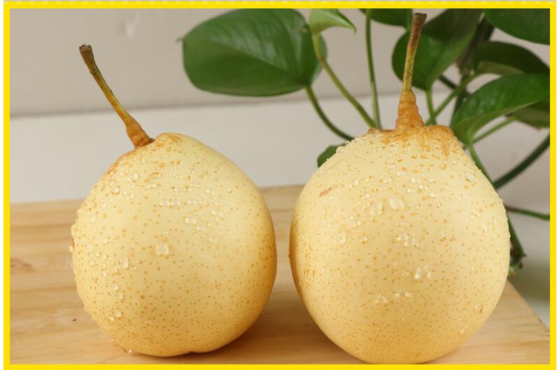 xj梨子新鲜河北鸭梨当季水果雪梨脆甜雪花梨白梨可开发票25kg