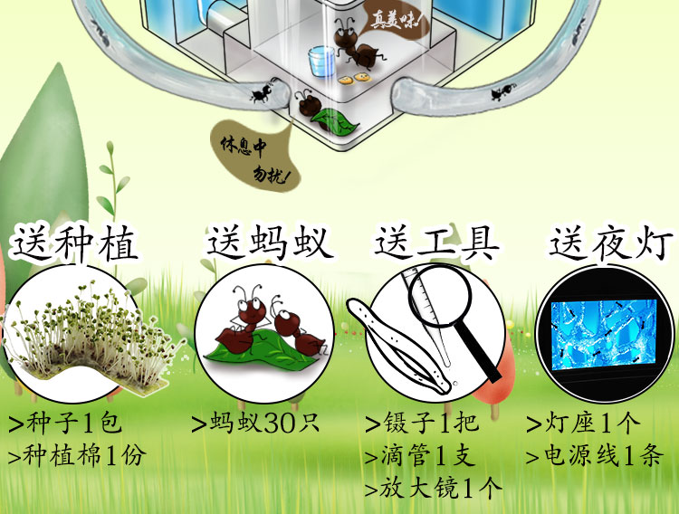 蚂蚁工坊蚂蚁活体别墅宫殿家园庄园巢蚂蚁城堡生态玩具送宠物蚂蚁