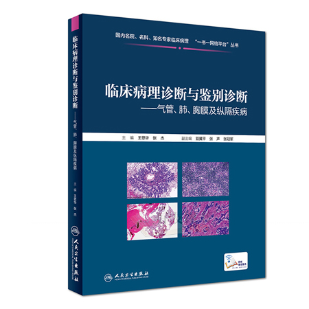 0905临床病理诊断与鉴别诊断 气管 肺 胸膜及纵隔疾病 王恩华 张杰著 著 摘要书评在线阅读 苏宁易购图书