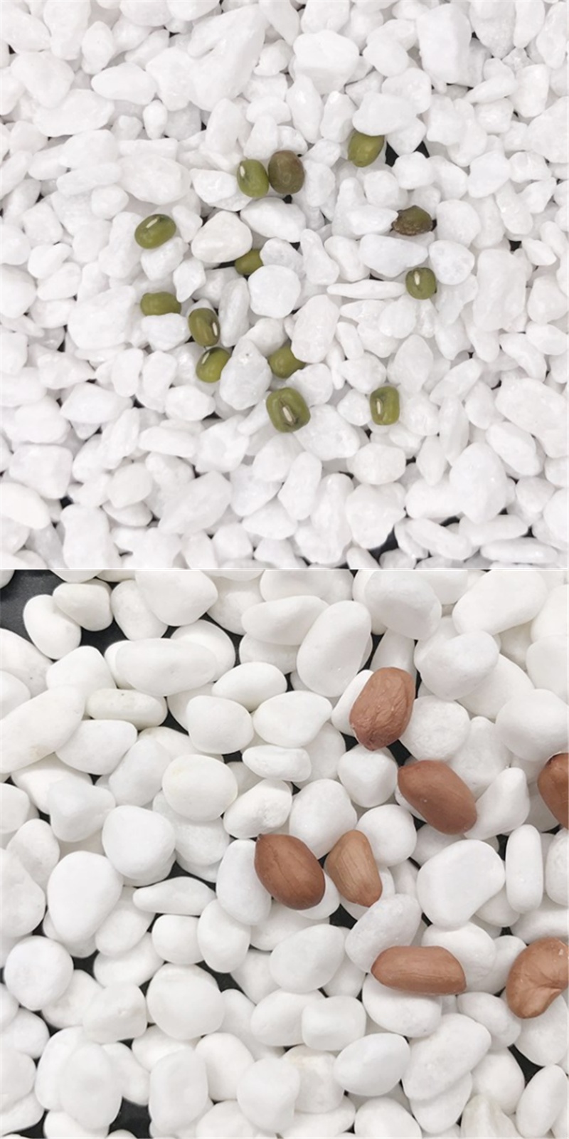 色匠 酒店垃圾桶箱烟灰缸灭烟用白石子 小白石头1kg