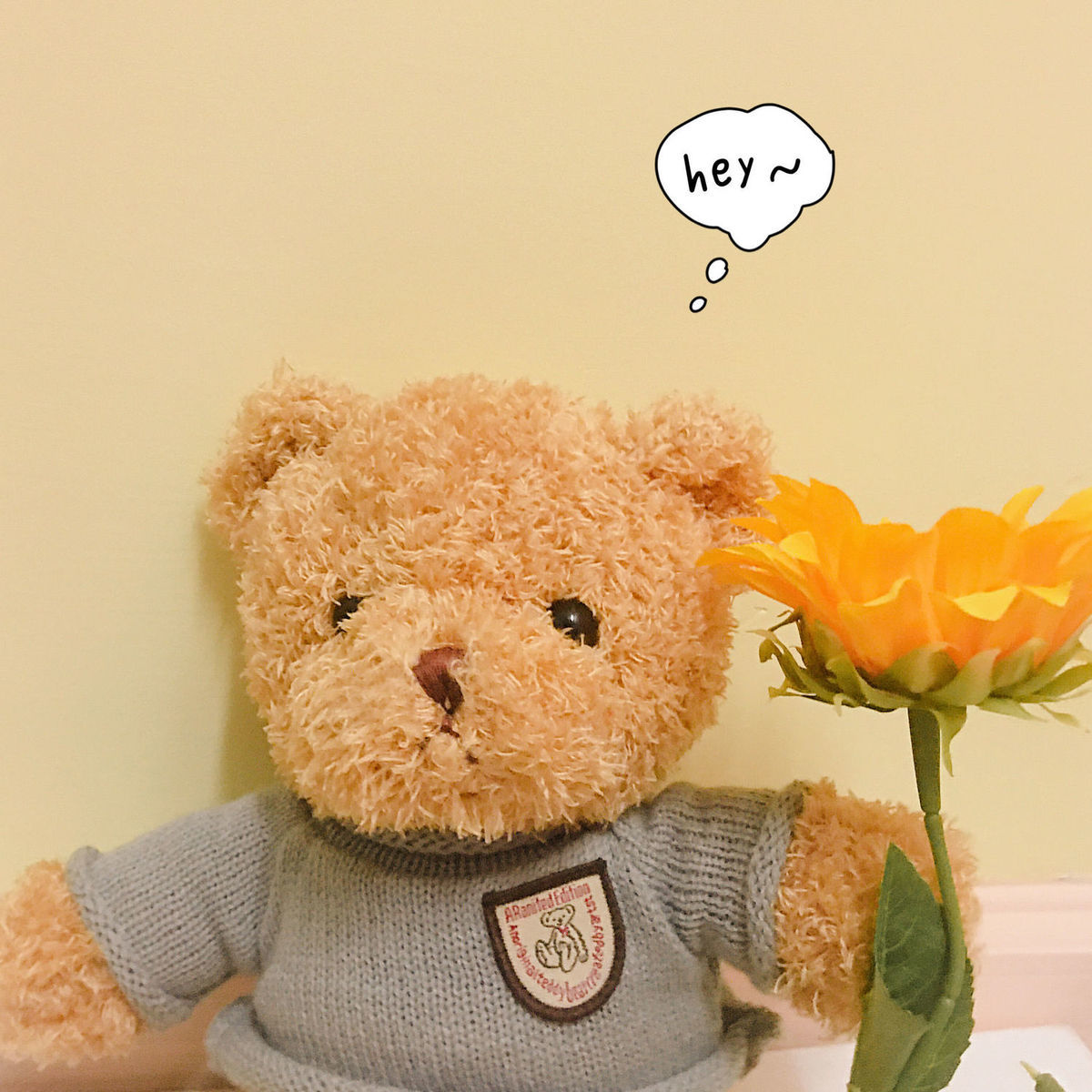 小红书同款毛绒布偶熊公仔玩偶儿童生日礼物玩具卡通可爱熊仔