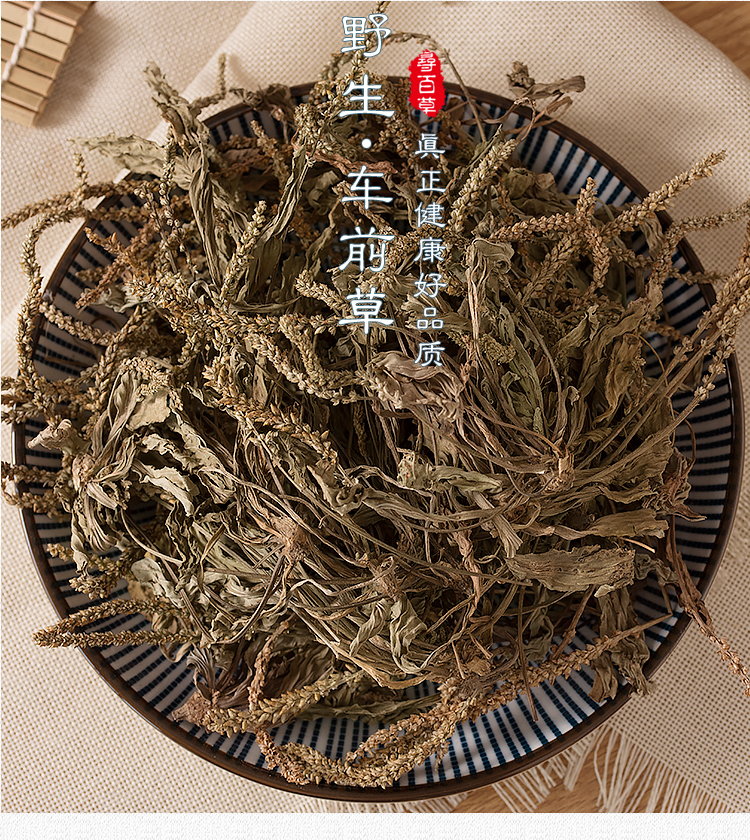 寻百草车前草干新鲜野生干货新货车轮草袋泡茶500g冲剂
