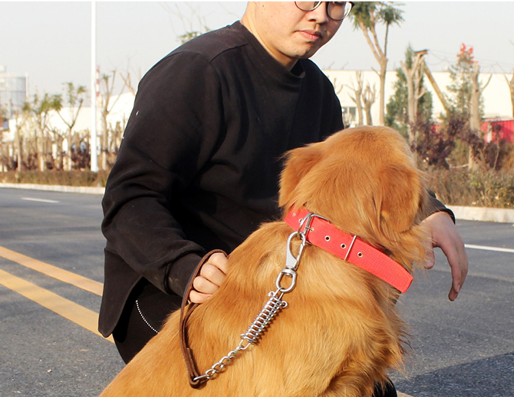 宠物牵引绳中大型犬防爆冲不锈钢狗链子防咬断遛狗狗链子宠物用品