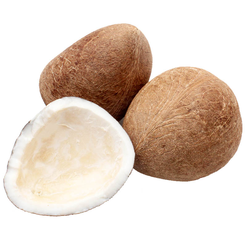 椰皇500g 皇干 椰子 白玉 新鲜水果可开发票