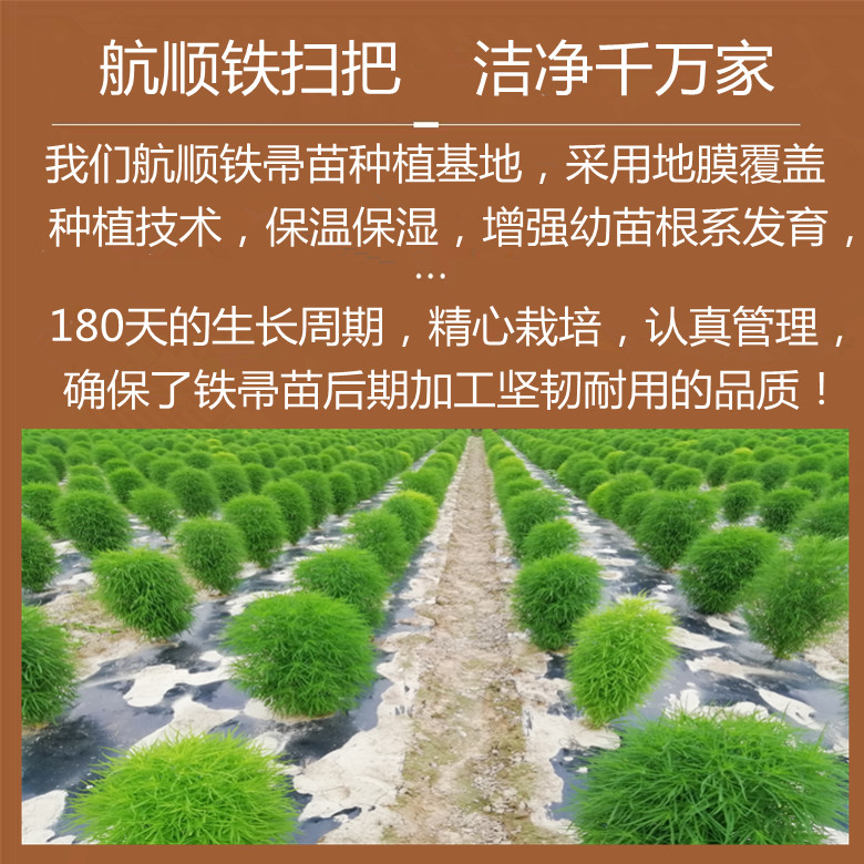 铁扫帚木柄型铁扫把铁丝款手工笤帚工厂金丝加编加厚扫把三维工匠