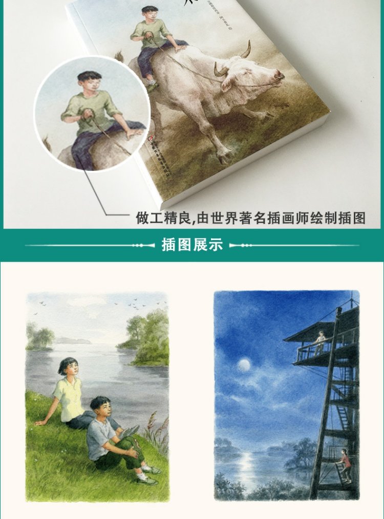 曹文軒經典作品插畫版全套5冊青銅葵花草房子兒童文學系列6912歲四五