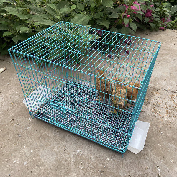 雏鸡笼子家用小号加密小鸡笼养殖笼折叠雏鸡笼鸡舍鸽子笼鹌鹑笼 加密