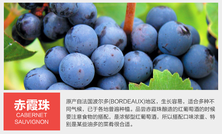 【悠酒源】原瓶进口红酒 澳大利亚纷赋酒庄wolfblass红牌设拉子赤霞珠