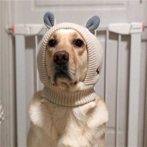 绿色青蛙发箍宠物帽子狗帽子大狗帽子大型犬帽子毛线保暖拉布拉多金毛