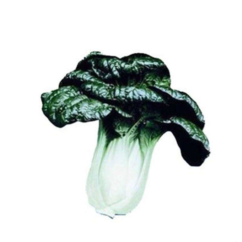 珍品*冬青梗菜桶装100克【价格 图片 品牌 报价】-苏宁易