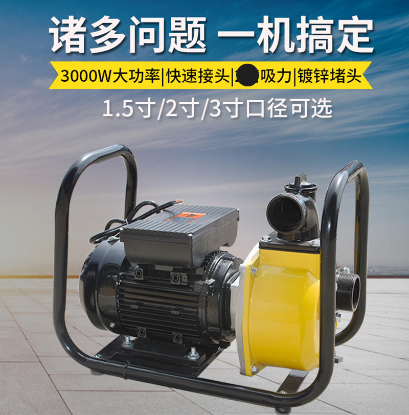 定做220v自吸式大流量抽油泵大功率柴油泵油罐车输送卸油泵灌溉抽水泵