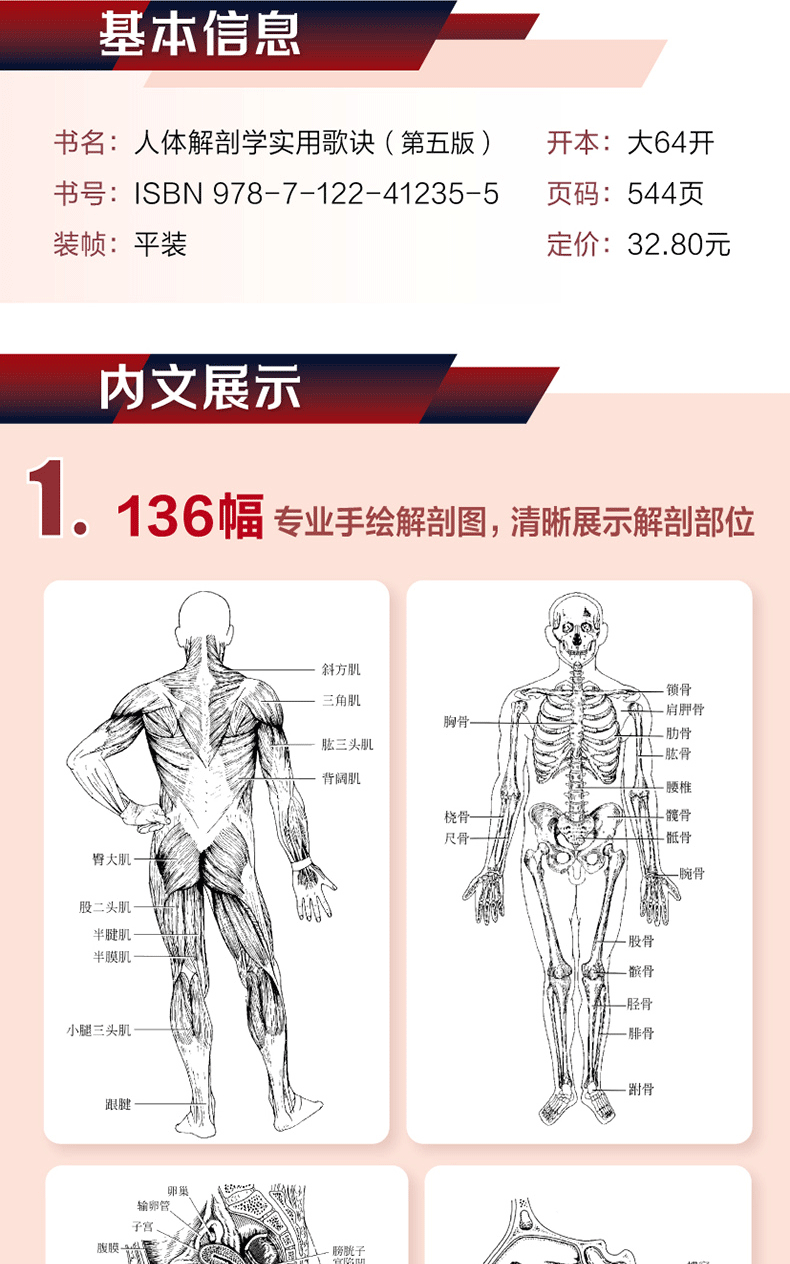 人体解剖学 改定42版-