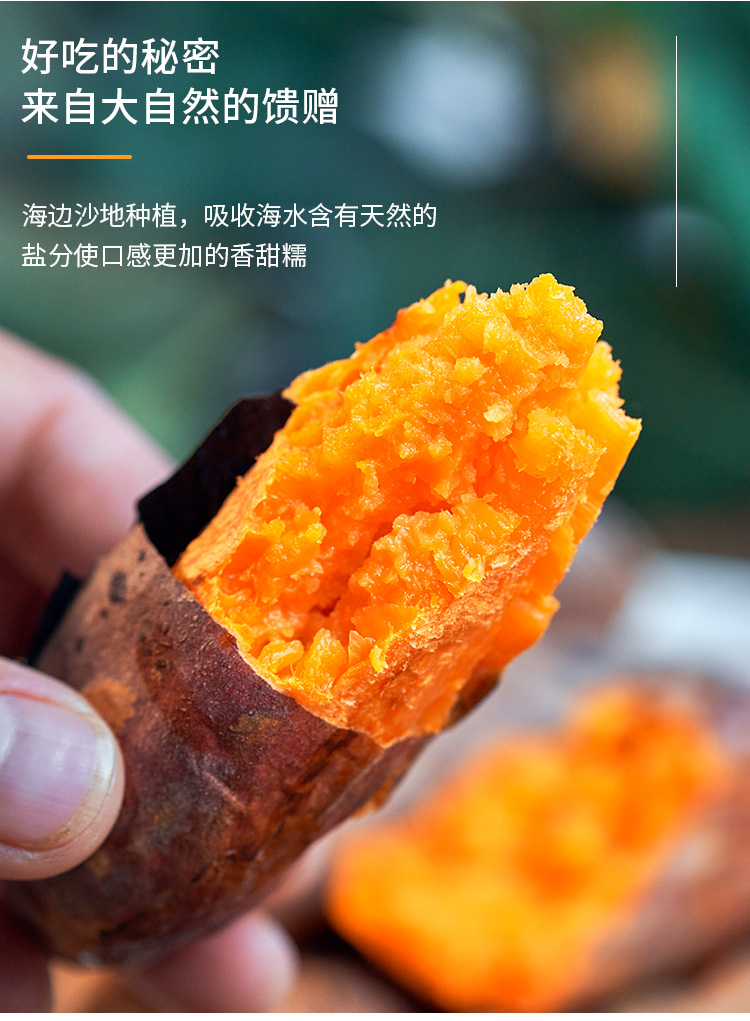 番薯童装团购网站推荐_童装货源网站