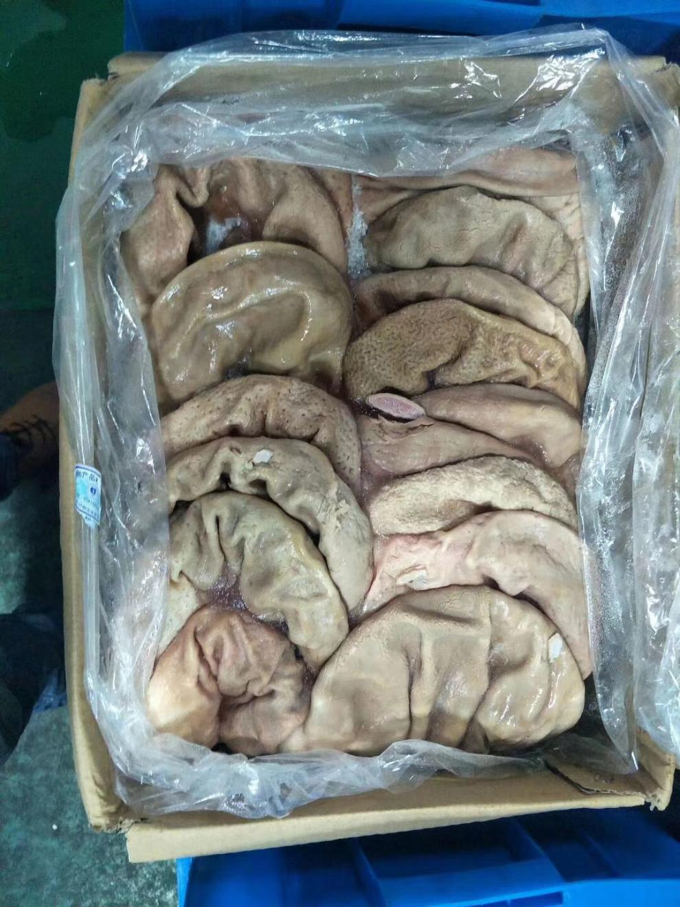 发顺丰冷冻猪肚原箱20斤约18个单重1315斤去油速冻猪下水猪胃
