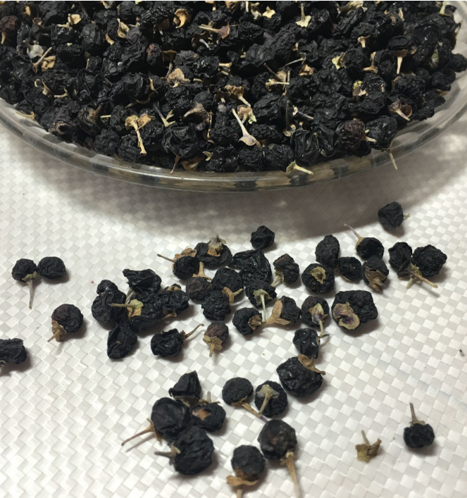 子暄 黑枸杞种子红枸杞甘枸杞多年生黑果庭院阳台盆栽滋补药材种籽