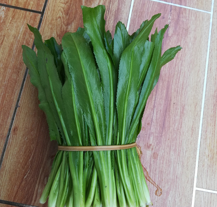 云南大香菜老缅芫荽大芫细德宏傣族傣味香料新鲜蔬菜可开发票2kg