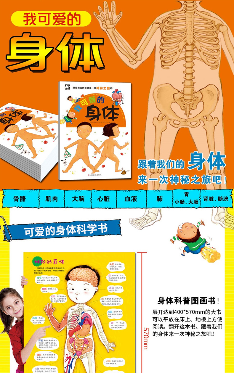 我可爱的身体06岁儿童百科全书绘本图画书幼儿园启蒙早教健康知识课外
