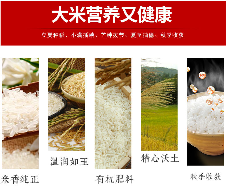 乡润软香丝苗米5kg*2袋