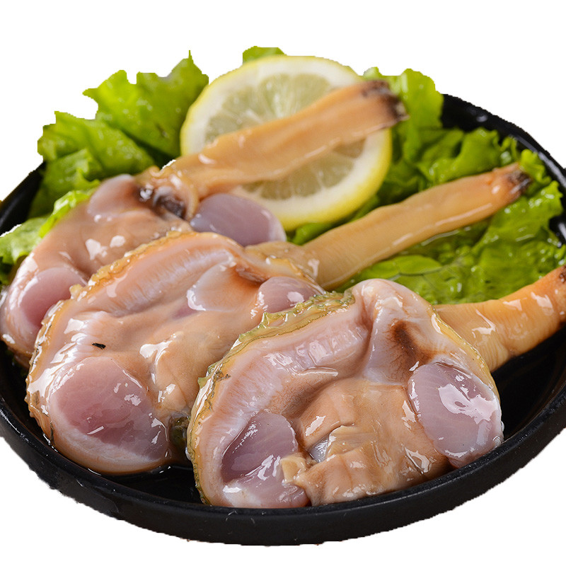 xj天鹅蛋水产海鲜贝类北极贝烧烤刺身料理个大肉多生鲜可开发票500g