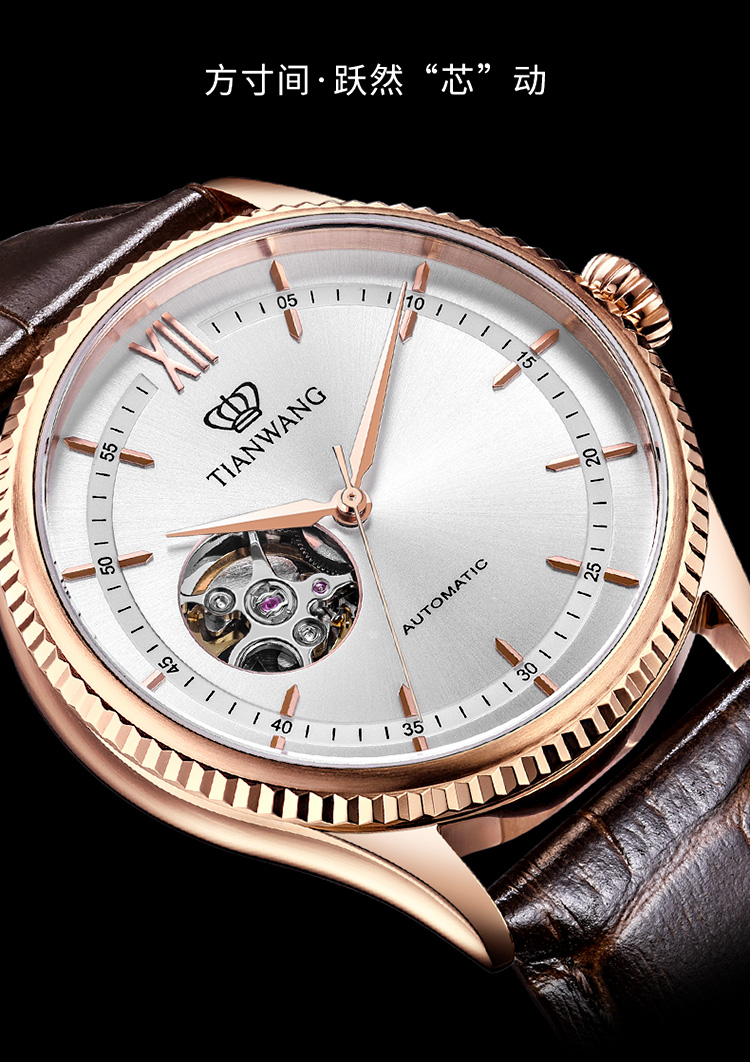 天王表男表昆仑系列机械表皮带休闲男士手表腕表gs51154