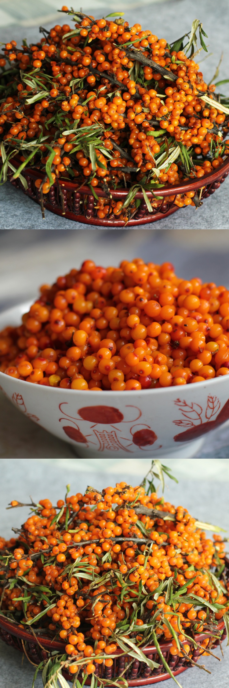 山西吕梁山野山坡特产酵素水果野生新鲜沙棘果野生沙棘新鲜水果