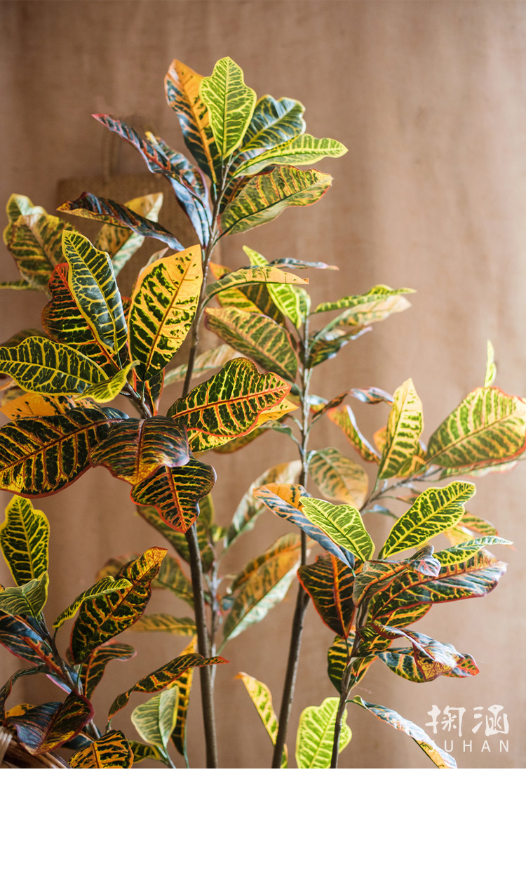 洒金榕树变色木超大型绿植盆景盆栽仿真植物地面装饰办公室 色织草编