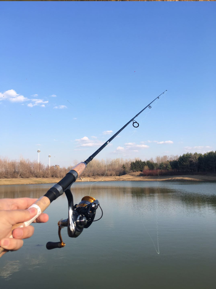 正品达瓦新手入级路亚竿超轻远投淡水鱼竿直柄柄钓翘嘴泛用竿