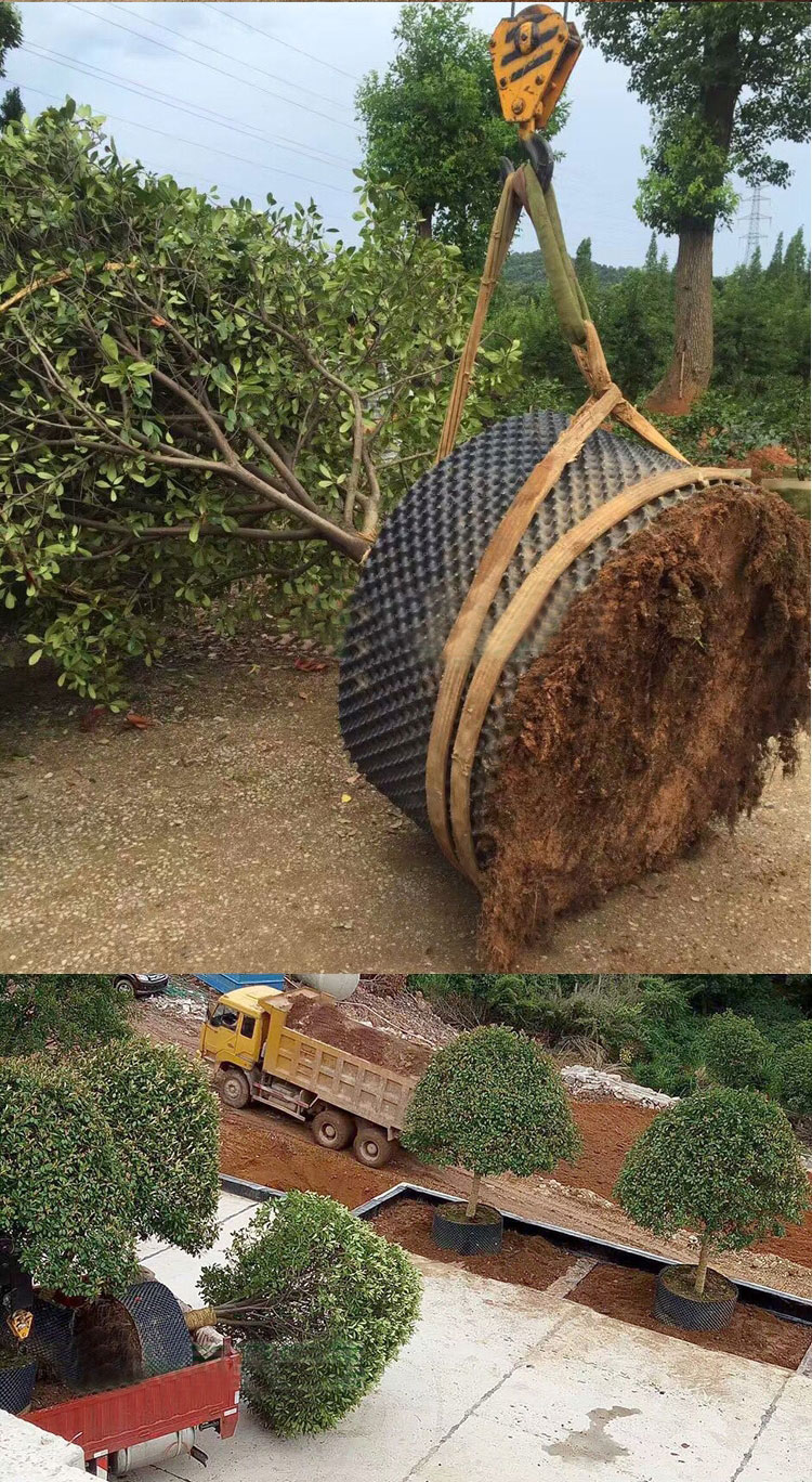 古达控根器花盆盘景观植树围土栏园艺园林绿化多规格快育苗控根容器
