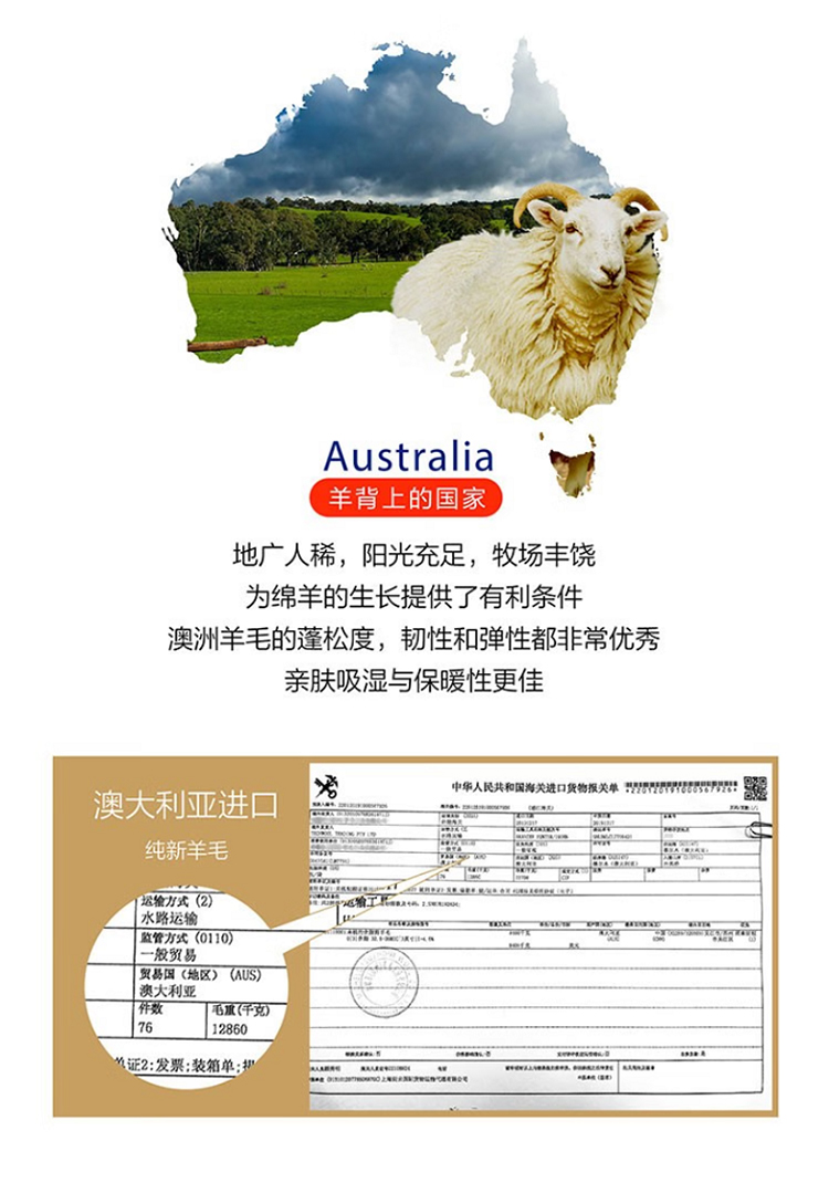 怎么从澳洲买羊驼