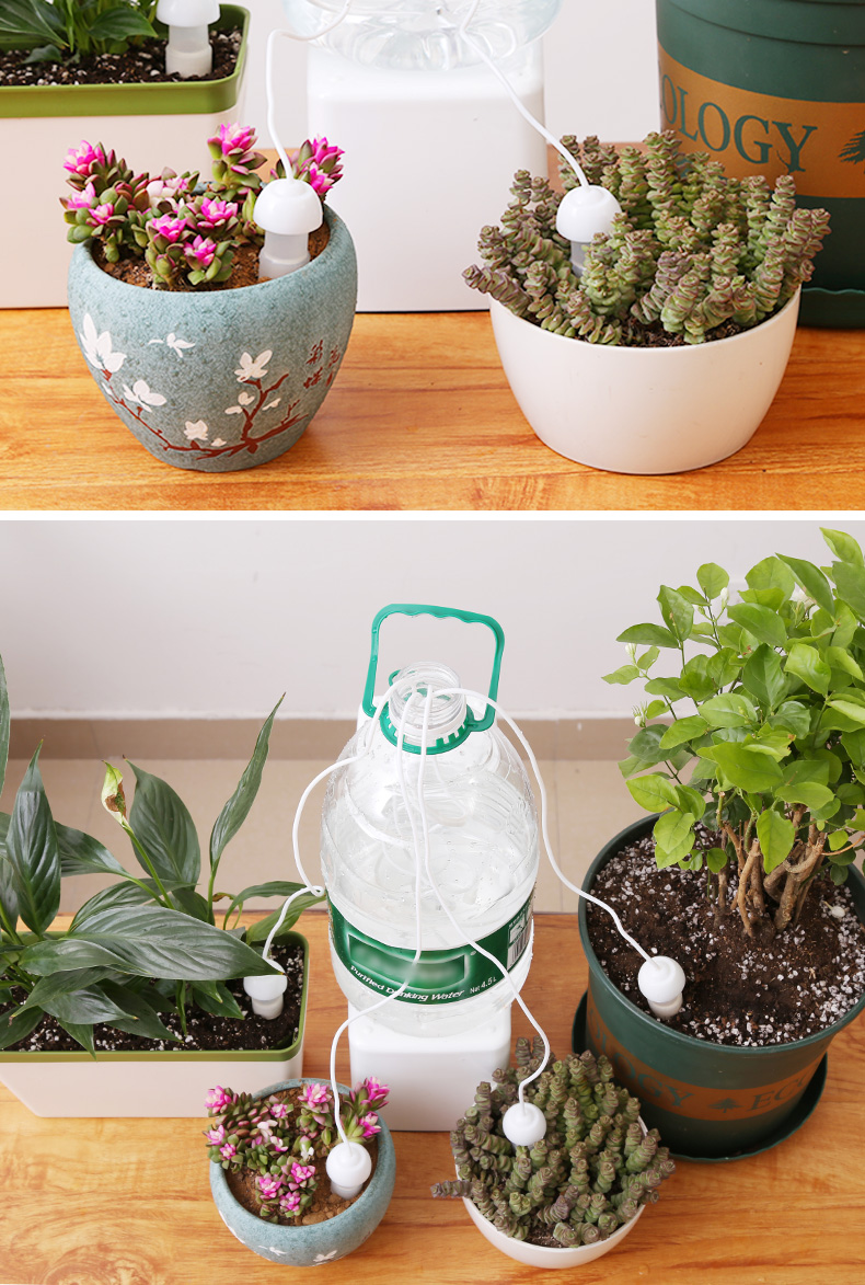 渗水器自动浇花器滴水懒人浇水外出旅游浇花神器家用阳台花卉多肉