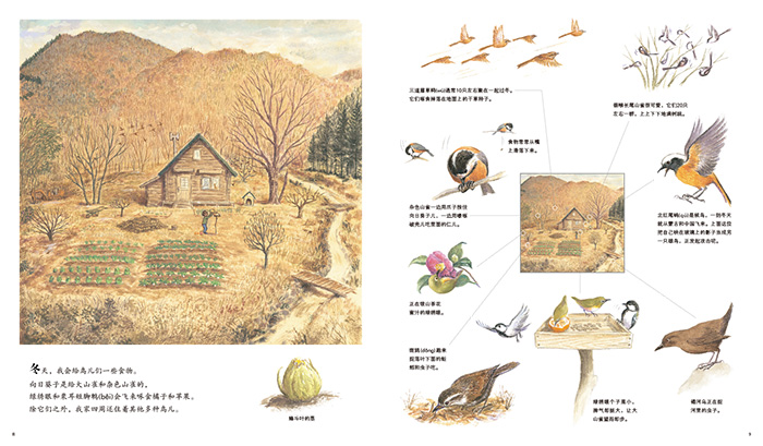 山居鸟日记—一本记录鸟儿精彩生活的日记簿 儿童花鸟动物百科绘本