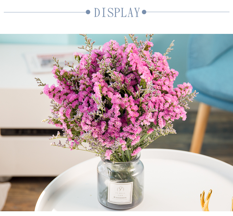 严选精品束勿忘我真花干花满天星插花家居摆设小清新装饰鲜花花束大束